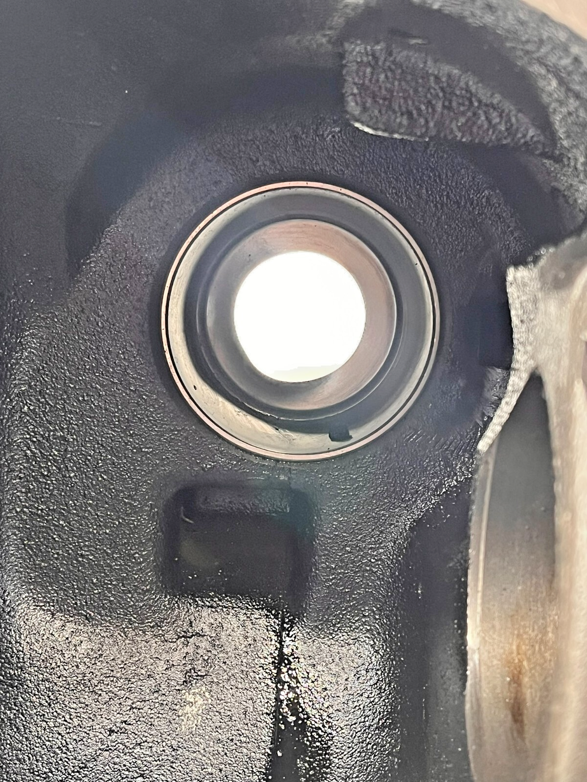 7979646