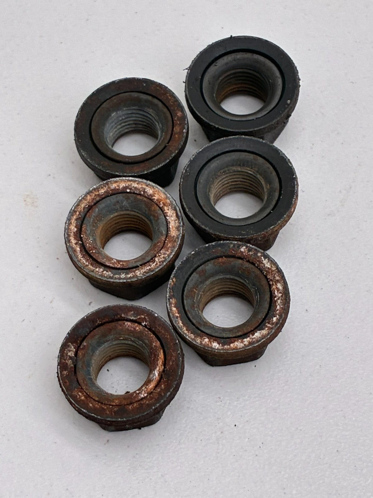 7981884