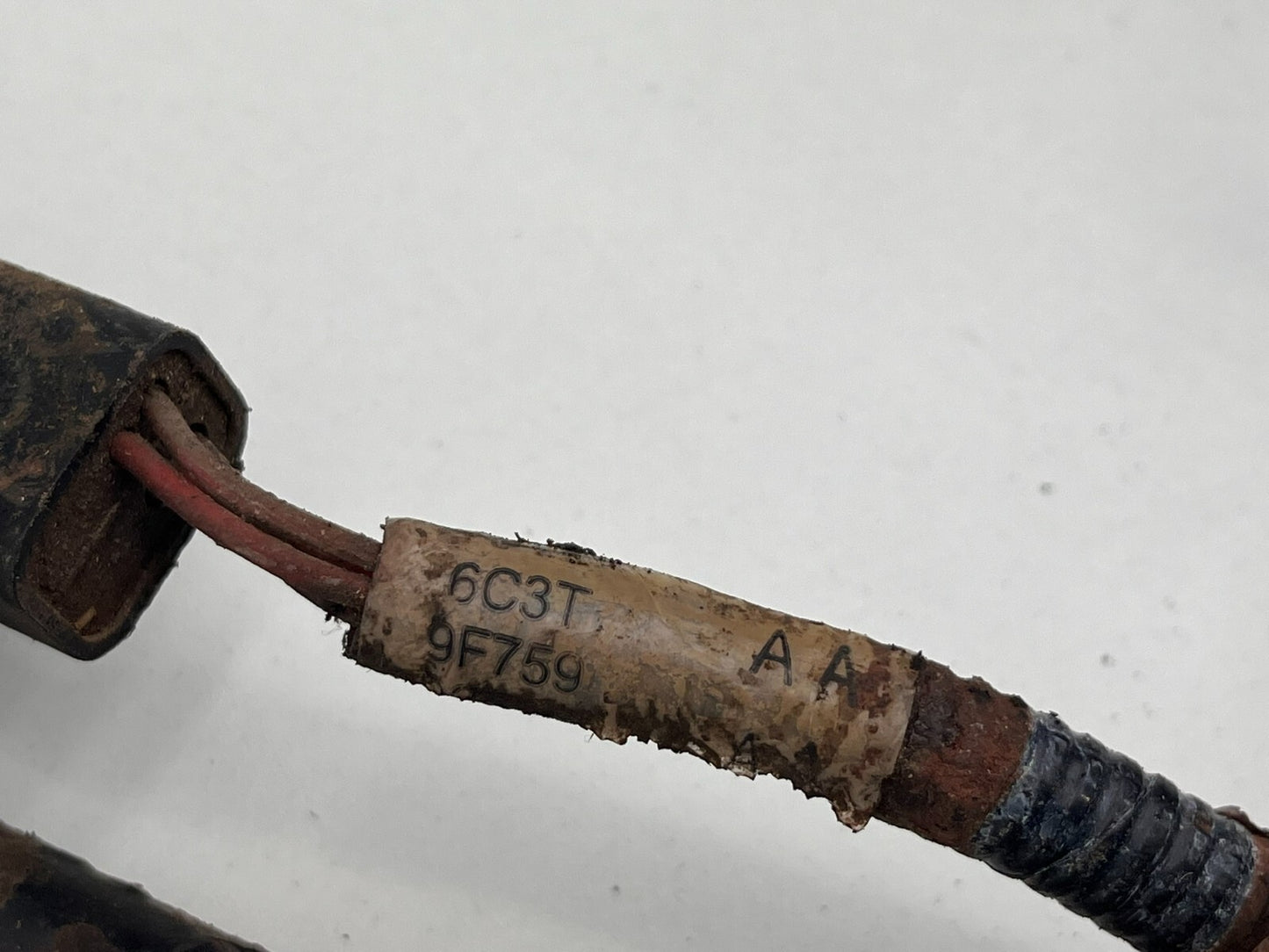 7953116