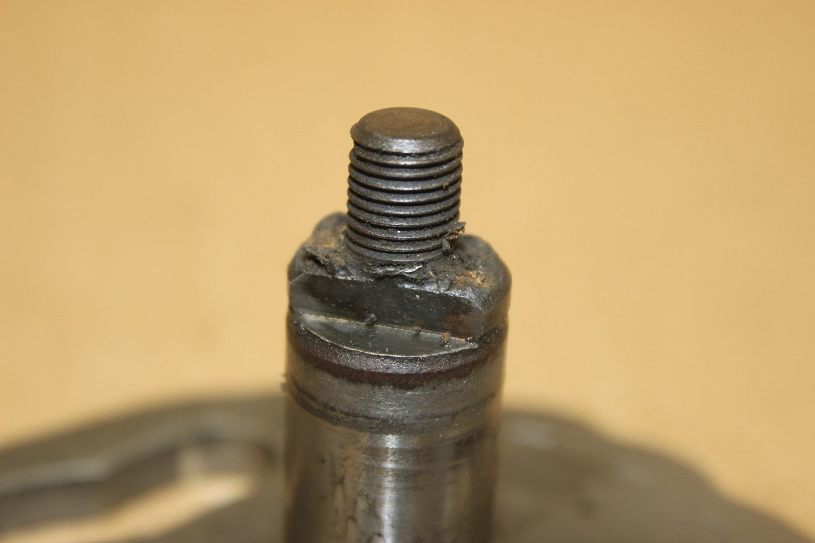 7981877
